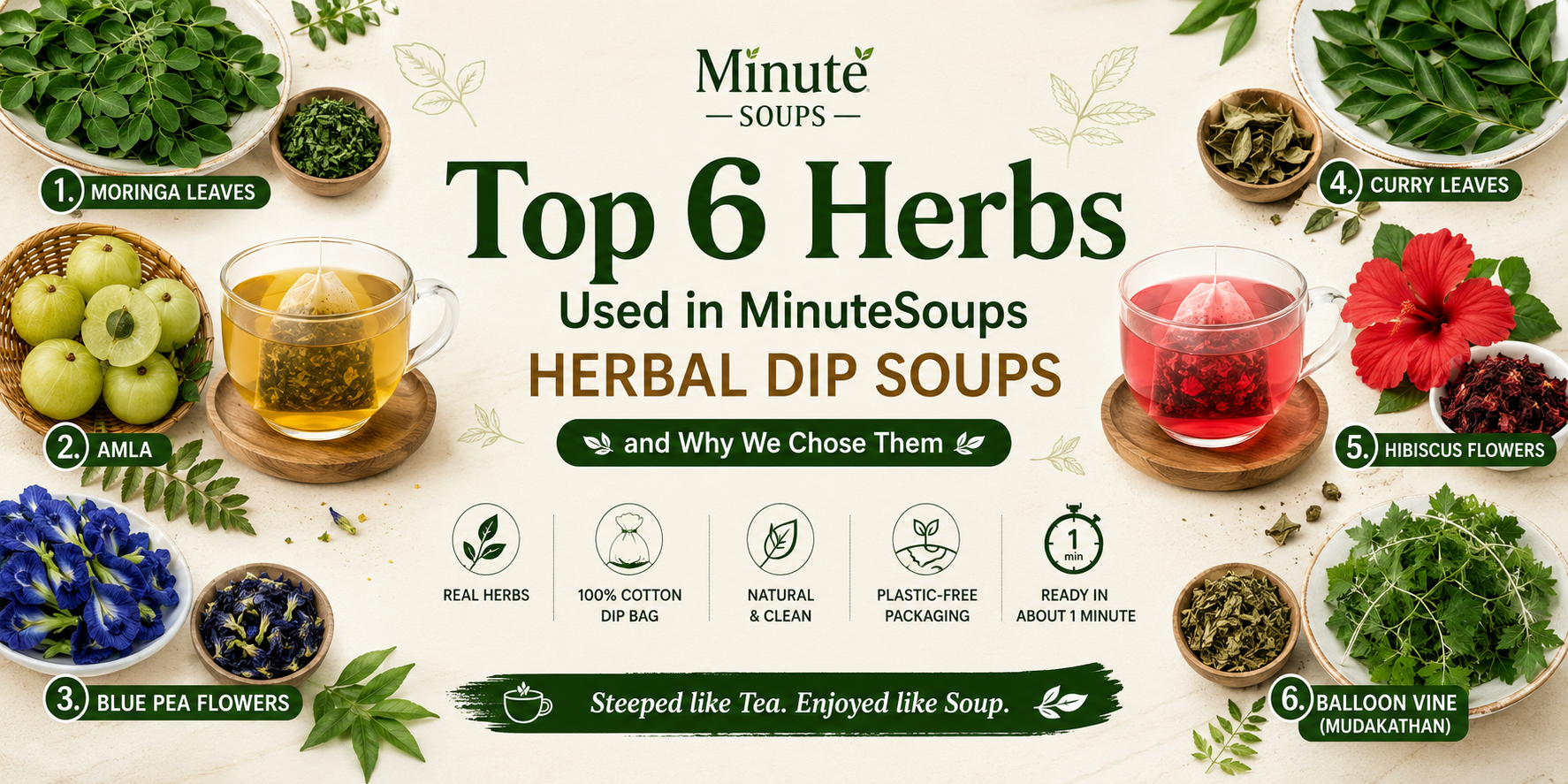 Top 6 herbs used in MinuteSoups Herbal Dip Soup featuring Moringa, Amla, Blue Pea, Curry Leaves, Hibiscus and Balloon Vine, brewed in a 100% food-grade cotton dip bag.